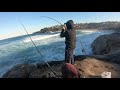 best rock fishing spot in sydney