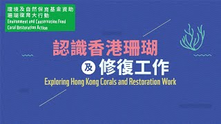 認識香港珊瑚及修復工作 // Exploring Hong Kong Corals and Restoration Work