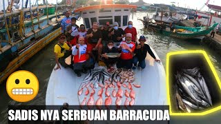 MANCING HAPPY | BARRACUDA NYA SADIS BRAY | SEKITARAN PULAU TUNDA