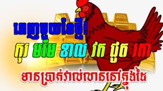 ពេញមួយខែថ្មី ឆ្នាំទាំង៦ មានប្រាក់វាល់លានក្នុងដៃ, Khmer horoscope today