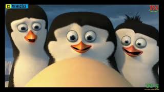 YTPBR-OS PINGUINS BOIOLAS