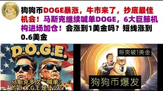 狗狗币DOGE暴涨，牛市来了，抄底最佳机会！马斯克继续喊单DOGE，6大巨鲸机构进场加仓！会涨到1美金吗？短线涨到0.6美金#DOGE币#马斯克狗狗币#DOGE行情分析