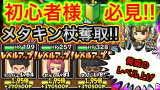 【星ドラ】メタルキングの杖GETの為に！！必要なレベル上げ知識！！〜初心者様🔰必見です〜【アナゴ マスオ 声真似】