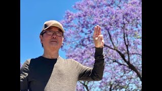 " ประชาธิปไตย เ ลื อ ด " โดย ลุงอาคม ซิดนีย์ Dec 29, 2018