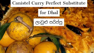 Canistel Curry - Perfect Substitute for Dhal ලාවුළු පරිප්පු