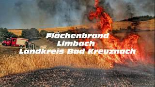 Flächenbrand in Limbach löst Großeinsatz aus