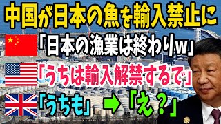 【海外の反応】処理水海洋放出で中国が日本の魚を制限するも、EU各国が逆に海産物輸入制限を解除してしまうww【アメージングJAPAN】