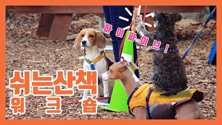 쉬는산책 워크숍｜보듬교육