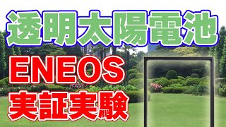 【ENEOS】透明太陽電池の実証実験を開始！