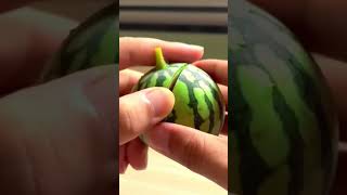I ate the World’s SMALLEST watermelon! 🍉😋