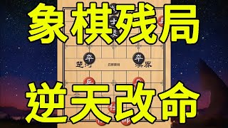 乍一看和棋，仔细一看还是和棋，但红方必胜你说气人不【四郎讲棋】