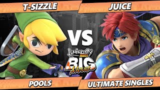 LMBM 2025 - T-Sizzle (Toon Link) Vs. Juice (Roy) Smash Ultimate - SSBU