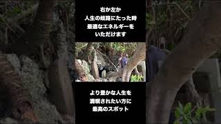 沖縄【人生の分岐点に訪れると良い】パワースポット#Shorts