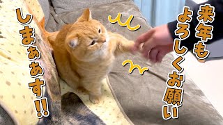 忘年会に来た友人への挨拶が雑すぎる猫が可愛すぎたw【来年もよろしくね】