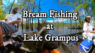 Bream Fishing at Lake Grampus with my buddy VonDean