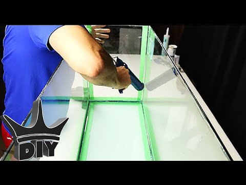 HOW TO: Reseal a leaking aquarium - TUTORIAL HOW TO: Reseal a leaking aquarium - TUTORIAL