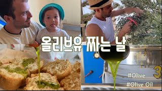 |🇰🇷🇬🇷International family| harvest your own olive oil and squeeze olive oil|santorini life