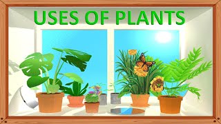 Uses of plants | Plants and their uses | Plant give us |  Plants around us | Benefits of plants