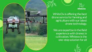 WhiteOx Drone Spray at just Rs 650 Per Tank. | Fertiliser Spraying Drones | Water Spraying Drones