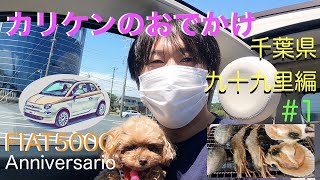 【愛犬カリンとおでかけ】マイクロティーカッププードルとFIAT500C 60周年記念モデルで犬連れOK店へ海鮮を食べに行く！