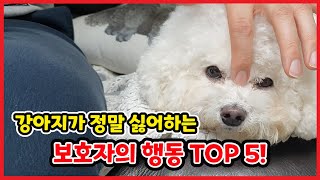 강아지가 정말 싫어하는 주인의 행동 TOP 5│반려견의 마음을 아프게 하고 짓밟는 주인의 나쁜 행동 5가지! 【강아지가 싫어하는 주인의 행동│주인은/만 몰랐던 나쁜 행동】