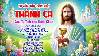 Nhạc Thánh Ca Tuyển Chọn Nghe Để Trở Về Bên Chúa | Con Dâng Chúa | Thánh Ca Đặc Biệt Hay Nhất