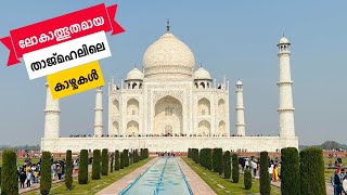 #3 Taj Mahal | Agra | Ajmer | Delhi | Techie Traveller by Rafeeque #tajmahal #agra