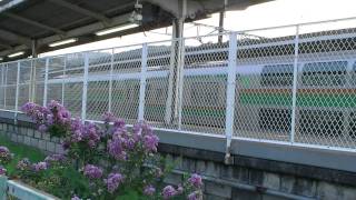 東海道線E231系 伊東駅到着