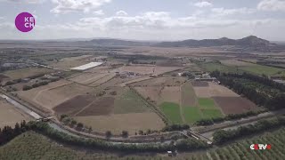 Heat wave and fires damages Tunisia's grain harvest