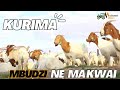 Kurima Mbudzi neMakwai: Nzira yePundutso Inobva Mukushanda Nenjere