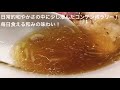 中華ソバ ちゃるめ 特製中華ソバ　〜ラーメン食べて詠います