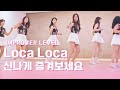 [높은초급]Loca Loca Line Dance|Improver Level |로카 로카 라인댄스|신나는 라틴 라인댄스