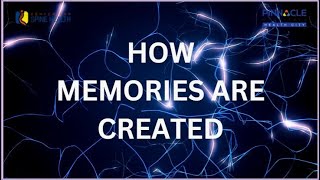 How we create memories | with Telugu and Odia subtitles