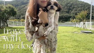 강아지랑 1박2일🐶ㅣ상주여행, 스테이몽, 반려견독채펜션, 상주경천대, 경주카페이어서, 유기견, 포인핸드입양