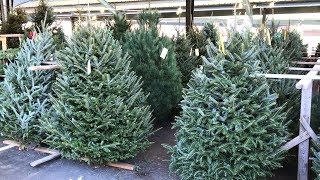 WVDA Commissioner Kent Leonhardt checking out WV Christmas Trees