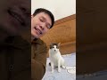 活力四射的猫 可爱猫猫 治愈系猫咪 萌猫