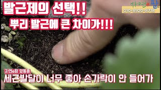 발근제의 선택? 비싼 발근제가 정말 좋은 발근제인가?? 꼭 알고 사용하세요!! 비싸다 사용했는데 효과를 없고 돈은 돈대로 쓰고... 휴 먼 개고생