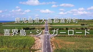 喜界島・シュガーロード(鹿児島県喜界島町)空撮動画 / Kikaijima Trip