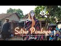 Dawangan Satrio Pandowo || Live Johorejo, Gemuh