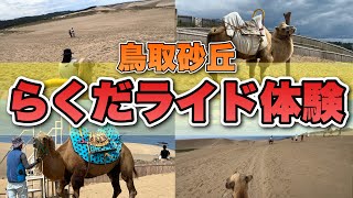 【鳥取砂丘】ラクダライド体験が最高すぎた！日本にいるのに気分は海外旅行！【らくだ/鳥取県/砂丘/らくだや】