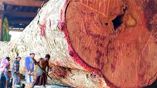 The Most Satisfying Sawmill - A Chronology of the Incredible Red Blood Fire Wood Sawmill