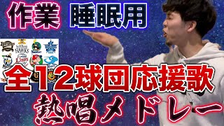 【作業用・睡眠用】2021年12球団スタメン応援歌熱唱メドレー【ASMR】