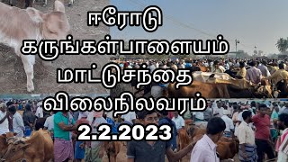 #ஈரோடு கருங்கள்பாளையம்  மாட்டுசந்தை 2.2.2023 விலைநிலவரம்