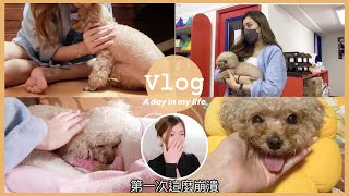 [VLOG]狗狗罹患乳線瘤 手術前後的經歷🙆🏻‍♀️第一次這麼崩潰🥺(中字)｜S.TONGLI