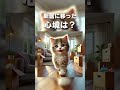 猫が言うと寒くニャいダジャレ5選🐈✨ 雑学 暇つぶし 猫