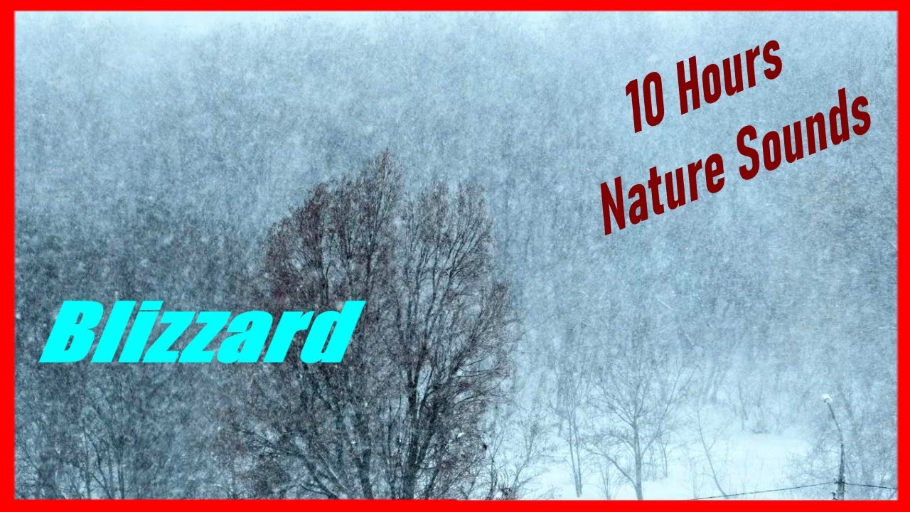 Sleep Or Relax With Blizzard Sound 10 Hours Snowstorm Youtube