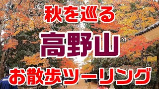 【モトブログ】日本仏教の聖地、秋の高野山を満喫してきました♪