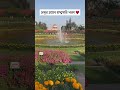 Amrit Udyan - Mughal Gardens @ Rashtrapati Bhavan #shorts #trending #viral #amritudyan #newdelhi