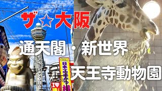 キリンが…🦒シロクマこける（笑）【通天閣、新世界、天王寺動物園】ダイジェスト動画