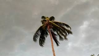 Heavy air in telladevarapalli,